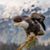 Charles McNelley's profile image