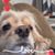 Barbara Babka's profile image
