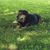 Susan Elizabeth Moran's profile image