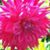 Kimberly Willenbring's profile image