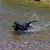Rebecca Hakan Wilkerson's profile image