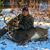 Seth Thornton's profile image