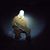 Jeff Alan Jackson's profile image
