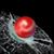 Ken Pro Glass, Inc.'s profile image