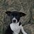 Lynn Eitzen Fellersen's profile image