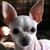 Maria Agher's profile image
