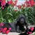 Peg Osborne's profile image