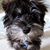 Hannah Qwin Abiog Karl's profile image