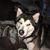 Paddy Remillard's profile image
