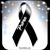 Alberto Zamora's profile image
