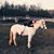 Missy Bishoff's profile image
