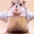 Küssi Schumi's profile image