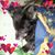 Tammy Lyons's profile image