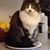 Leanna Bluhm's profile image