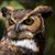 John Heslop III's profile image