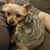 Nicole Keber's profile image