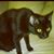 Crissy Young's profile image