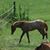 Kathy Heimann Laigaard's profile image