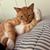 Lorie Matter's profile image