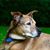 Pam Harris MacKenzie's profile image