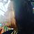 Pequeña Salta Montes's profile image