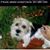 Carrie Crawford's profile image
