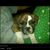 Neil Hilke's profile image