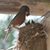 Jill Ritchey's profile image