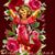 Olga Yepez's profile image