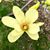 Angela Monro Bowers's profile image