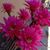 Sylvia Contreras's profile image