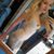 Brandi Thomas's profile image