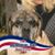 Bonnie Williams Cook Barbieri's profile image