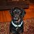 Larry Brown's profile image