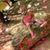 Melissa Jenkins's profile image