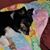 Barbara Weatherly's profile image