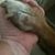 Sandy Yaw's profile image