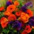 Donna K. Delpha Young's profile image