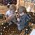 Dawn Stoetzel's profile image