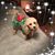 Barbara Carte Cooper's profile image