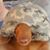 Dana Hill's profile image