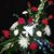 William Daniels's profile image