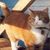 Julee Rudy's profile image