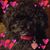 Beth Butler's profile image