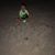 Joe DeCarlo's profile image