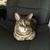 Stacy Krause's profile image