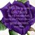 Kristin Michele Mervis's profile image