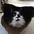 Tamie Abrahamson's profile image