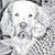 Jennie L Cannady's profile image
