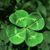 Cynthia Drews Cinnamon's profile image